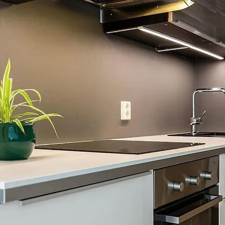 Koselig Og Sentralt Midt I Fargegaten